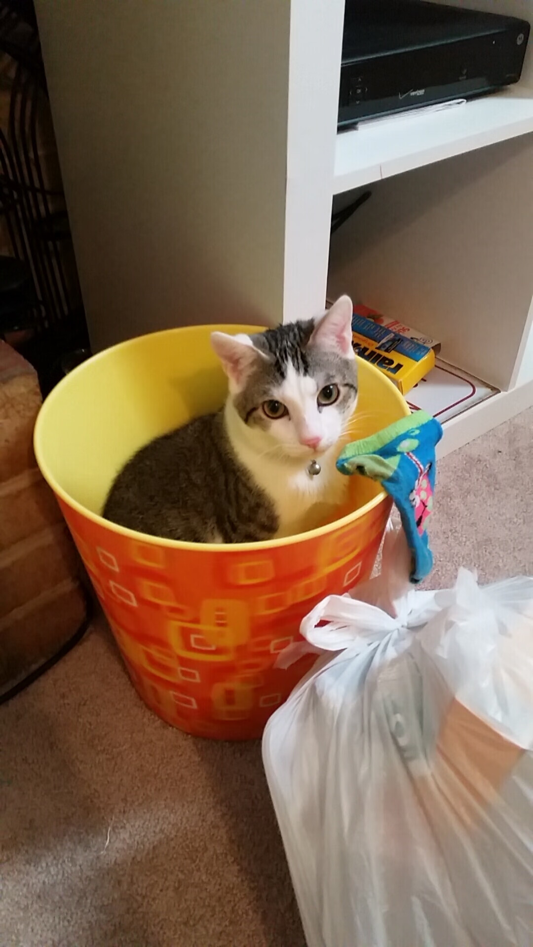 “防守套路详解：联盟中最有效的1-3-1防守战术”，联盟防守效率值 球员排名