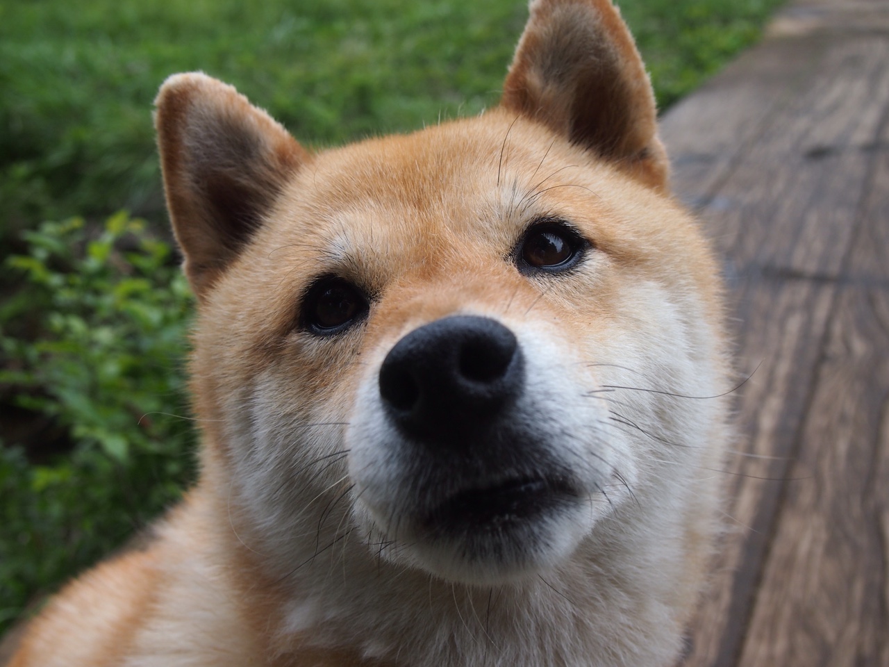 “防守套路详解：联盟中最有效的1-3-1防守战术”，联盟防守效率值 球员排名