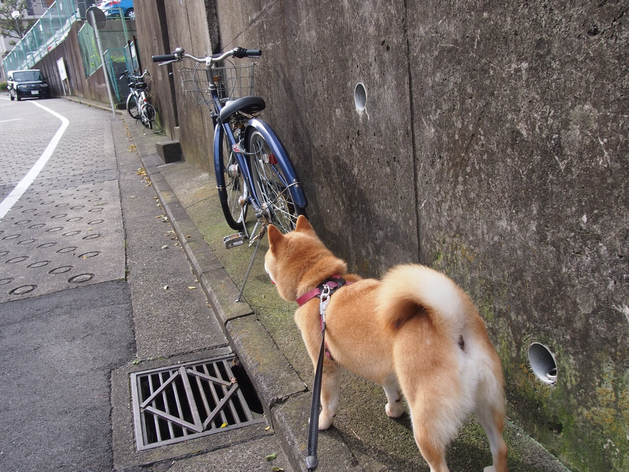 _运动员坚持到底,逆转获胜瞬间感动全场_,一个运动员坚持的励志视频