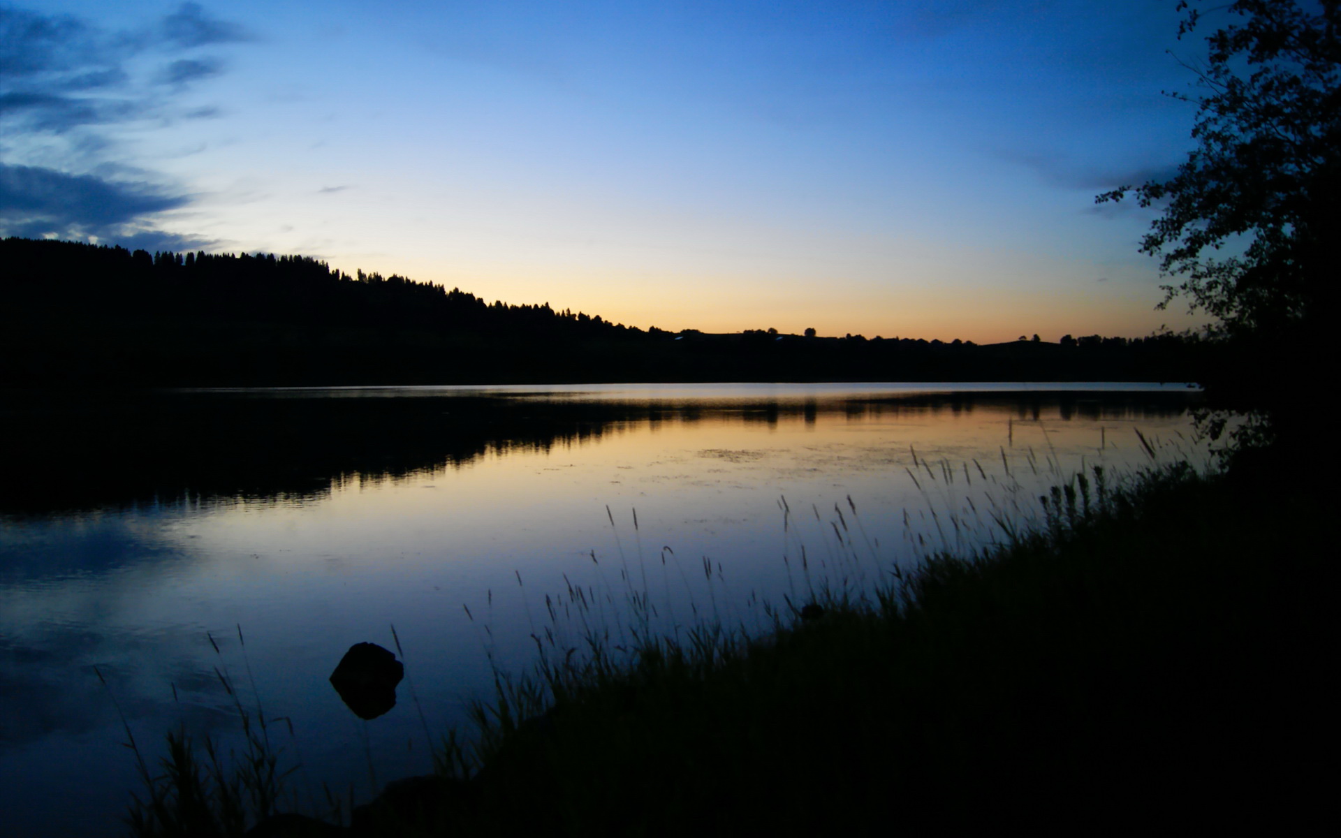 《2025王者荣耀全国联赛，广州战队以微弱差距夺冠》，王者荣耀全国大赛广东省